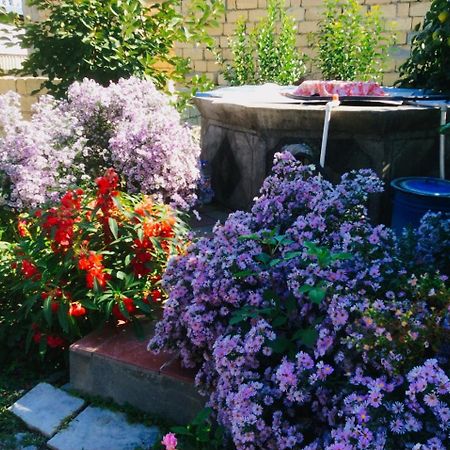 Bed and Breakfast House On Ashiq Cuma Street 8 Шеки Экстерьер фото