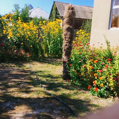 Bed and Breakfast House On Ashiq Cuma Street 8 Шеки Экстерьер фото