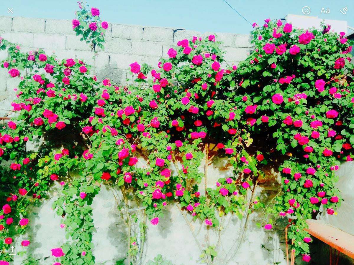 Bed and Breakfast House On Ashiq Cuma Street 8 Шеки Экстерьер фото